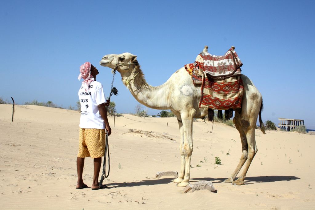 grind-london-2014-summer-bits-for-the-bits-lookbook-4